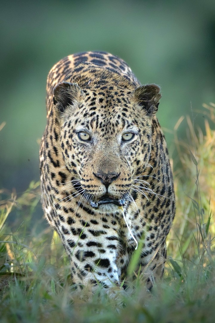 Fransje van Riel Photography