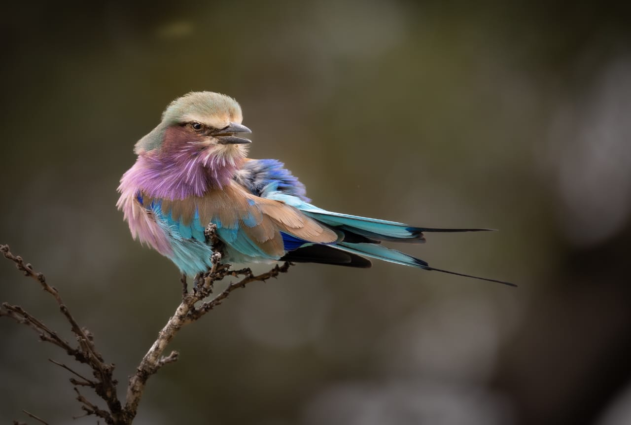 Fransje van Riel Photography